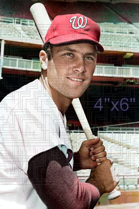 Gary Holman - 1968 Washington Senators - choose a size & style