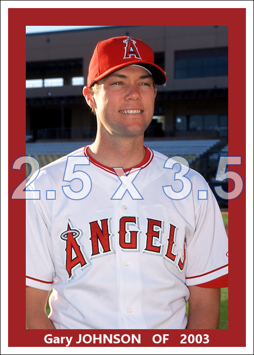 Gary Johnson - 2002 Anaheim Angels - choose a size & style