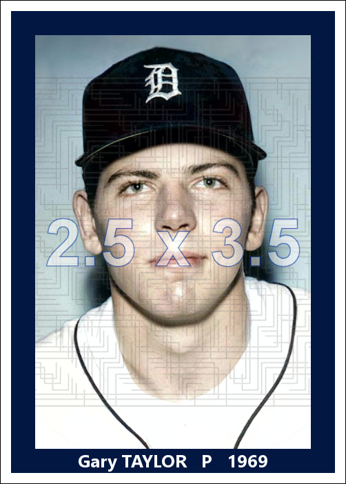 Gary Taylor - 1969 Detroit Tigers - choose a size & style