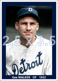 Gee Walker - 1932 Detroit Tigers - choose a size & style