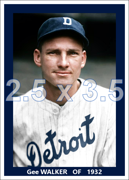 Gee Walker - 1932 Detroit Tigers - choose a size & style