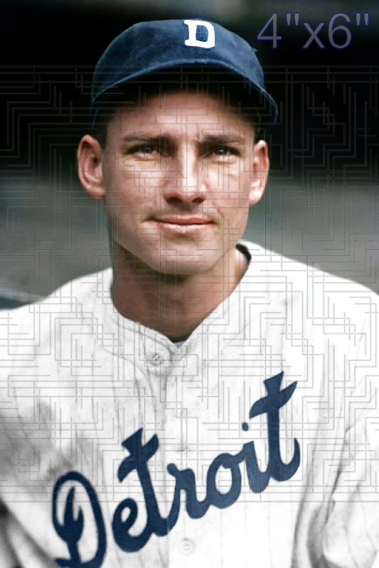 Gee Walker - 1932 Detroit Tigers - choose a size & style