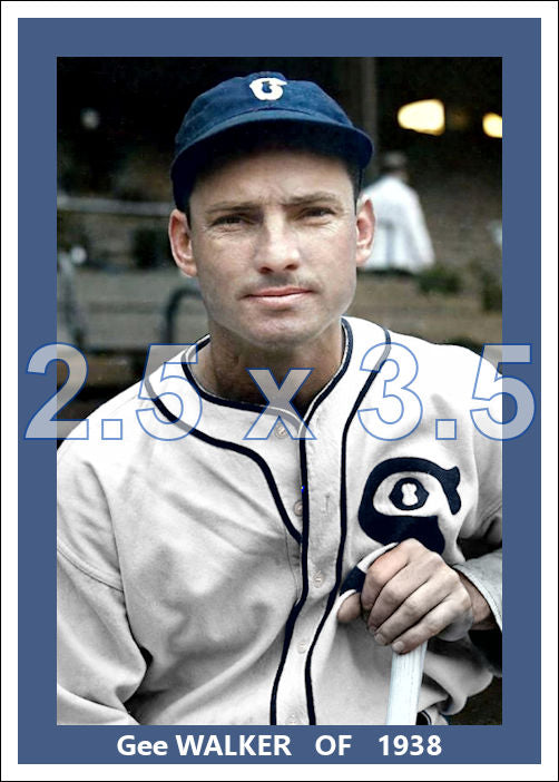 Gee Walker - 1938 Chicago White Sox - choose a size & style