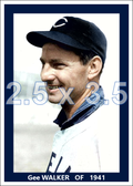 Gee Walker - 1941 Cleveland Indians - choose a size & style