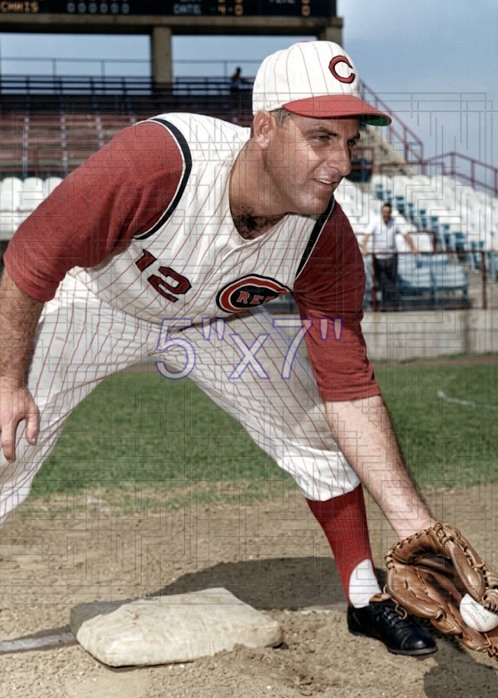 Gene Freese - 1963 Cincinnati Reds - choose a size & style