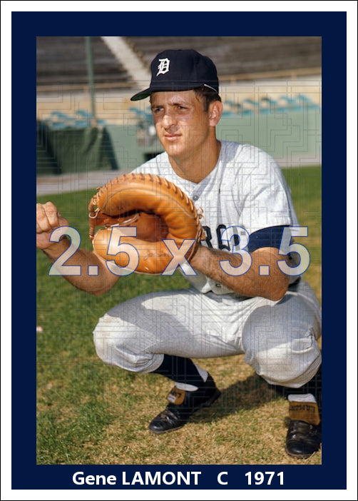 Gene Lamont - 1971 Detroit Tigers - choose a size & style