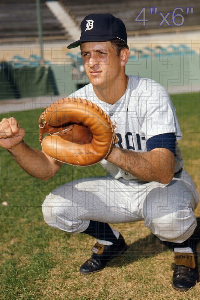 Gene Lamont - 1971 Detroit Tigers - choose a size & style