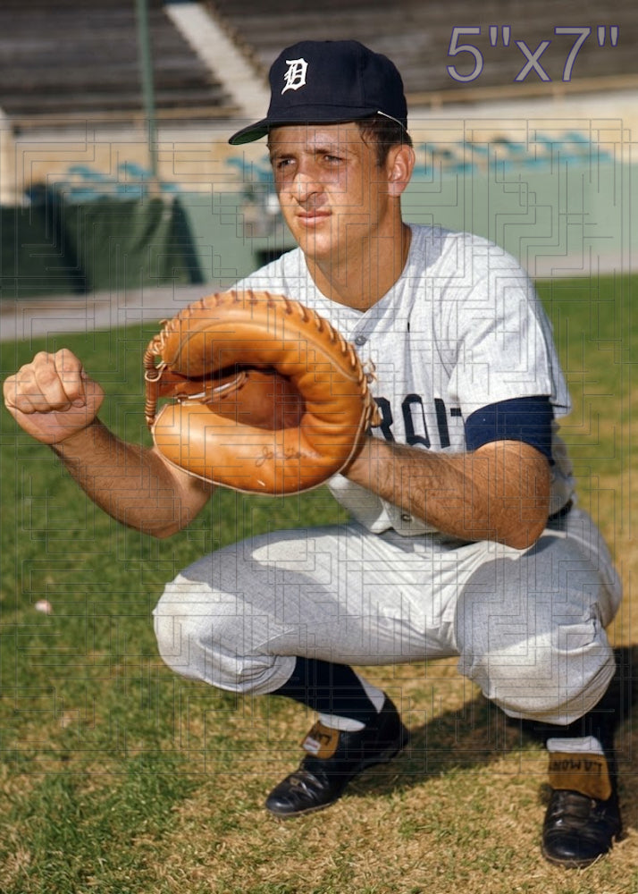 Gene Lamont - 1971 Detroit Tigers - choose a size & style