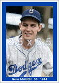 Gene Mauch - 1944 Brooklyn Dodgers - choose a size & style