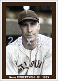 Gene Robertson - 1925 St. Louis Browns - choose a size & style
