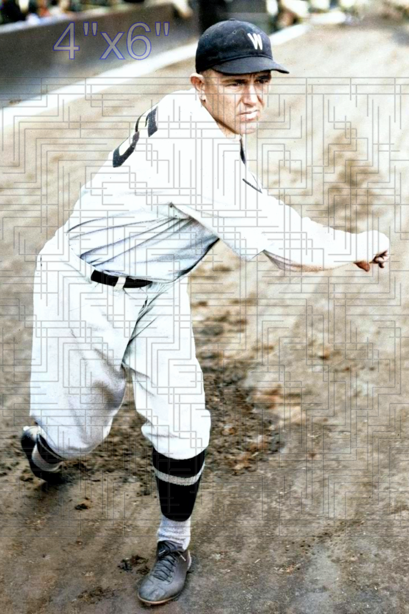 Alvin Crowder - 1931 Washington Senators - choose a size & style
