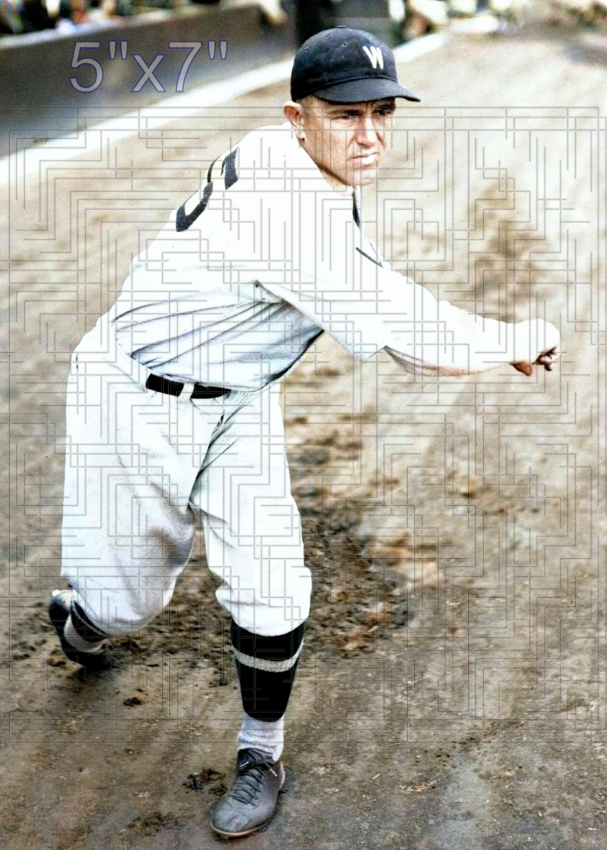 Alvin Crowder - 1931 Washington Senators - choose a size & style