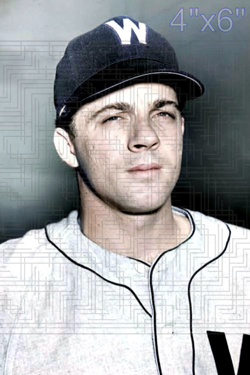 George Genovese - 1950 Washington Senators - choose a size & style