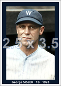George Sisler - 1928 Washington Senators - choose a size & style