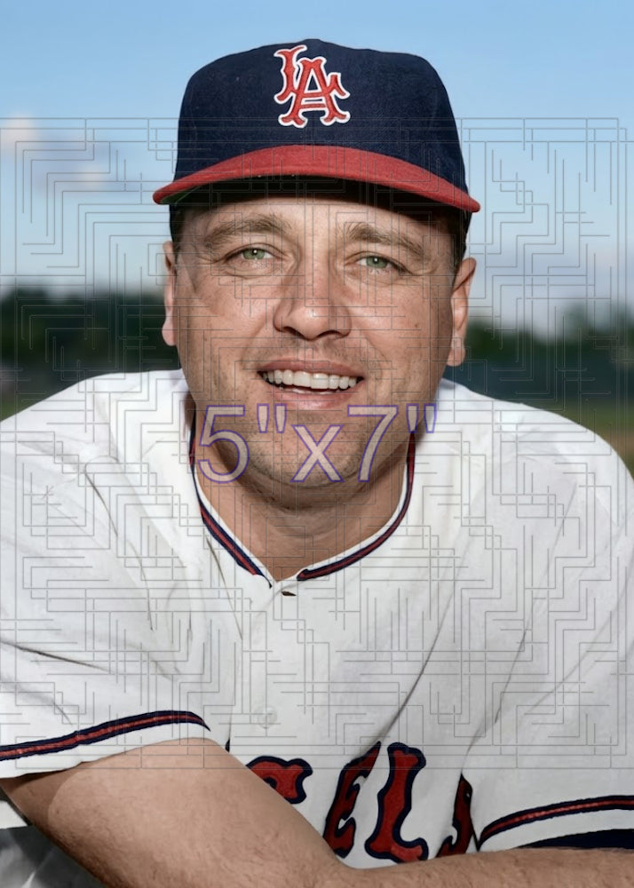 Gino Cimoli - 1965 Los Angeles Angels - choose a size & style