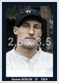 Goose Goslin - 1924 Washington Senators - choose a size & style
