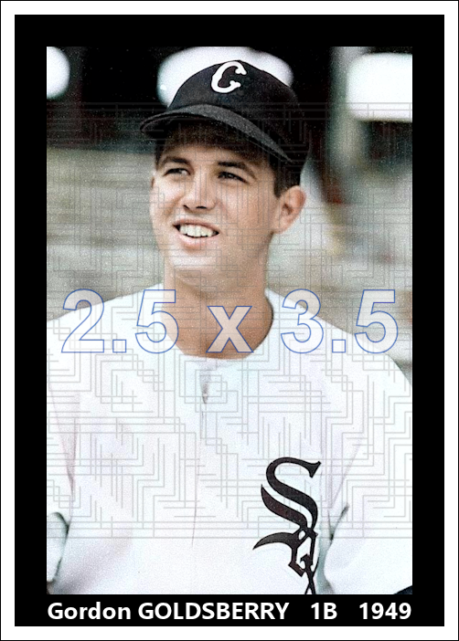 Gordon Goldsberry - 1949 Chicago White Sox- choose a size & style