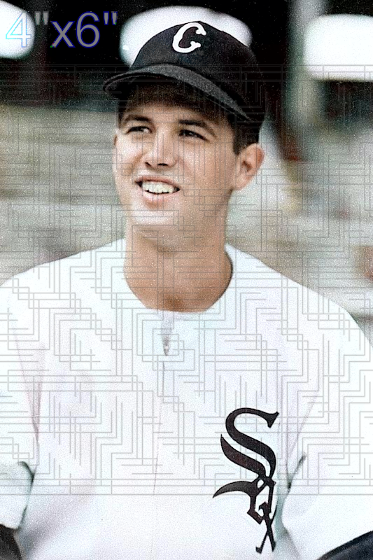Gordon Goldsberry - 1949 Chicago White Sox- choose a size & style