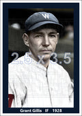 Grant Gillis - 1928 Washington Senators - choose a size & style