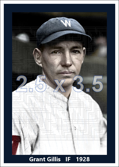 Grant Gillis - 1928 Washington Senators - choose a size & style