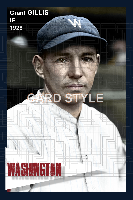 Grant Gillis - 1928 Washington Senators - choose a size & style
