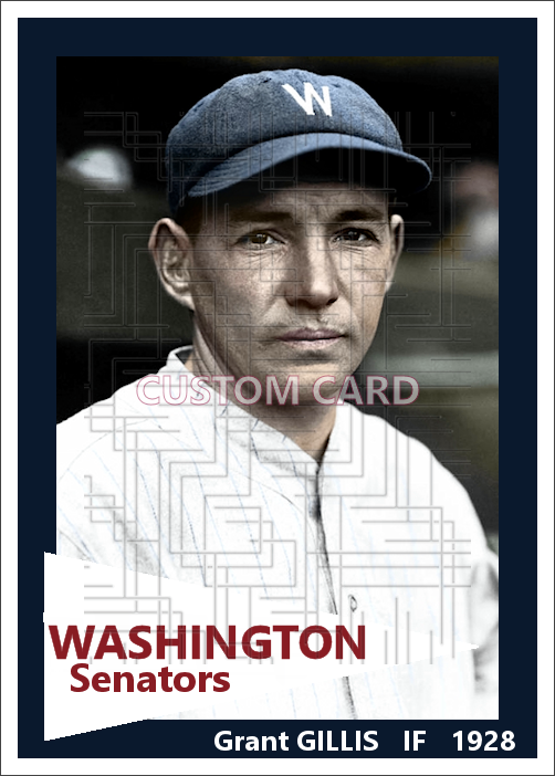 Grant Gillis - 1928 Washington Senators - choose a size & style