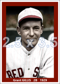 Grant Gillis - 1929 Boston Red Sox - choose a size & style
