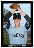 Greg Bollo - 1965 Chicago White Sox - choose a size & style