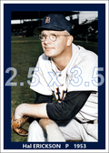 Hal Erickson - 1953 Detroit Tigers - choose a size & style