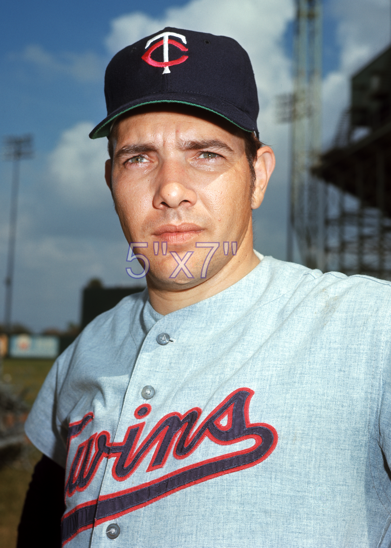 Hal Haydel - 1971 Minnesota Twins - choose a size & style