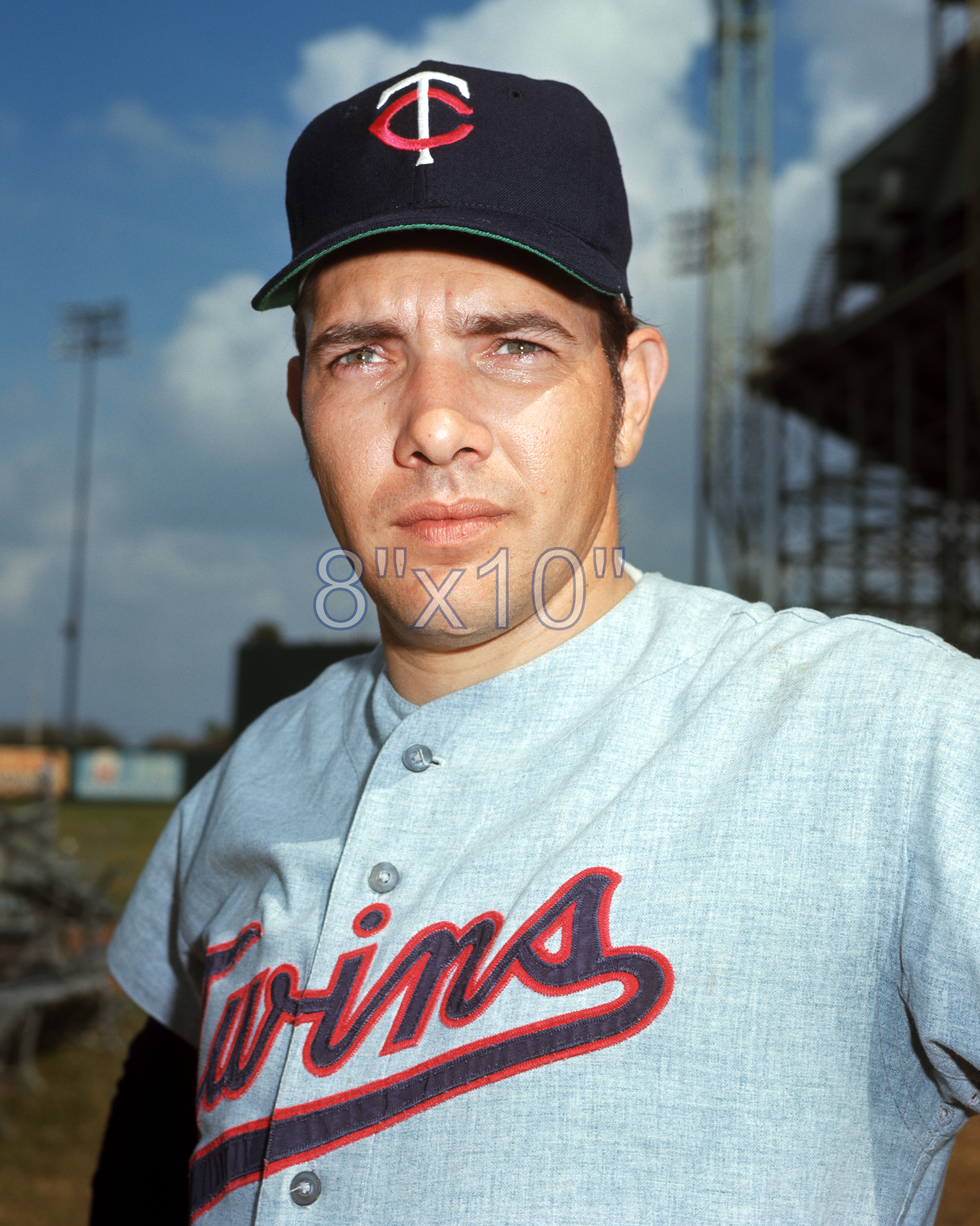 Hal Haydel - 1971 Minnesota Twins - choose a size & style