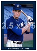Hal Morris - 1988 New York Yankees - choose a size & style