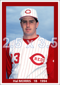 Hal Morris - 1994 Cincinnati Reds - choose a size & style