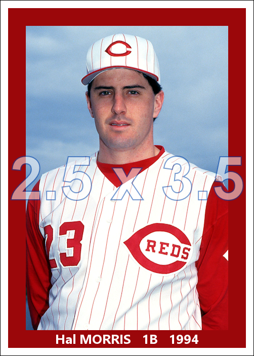 Hal Morris - 1994 Cincinnati Reds - choose a size & style