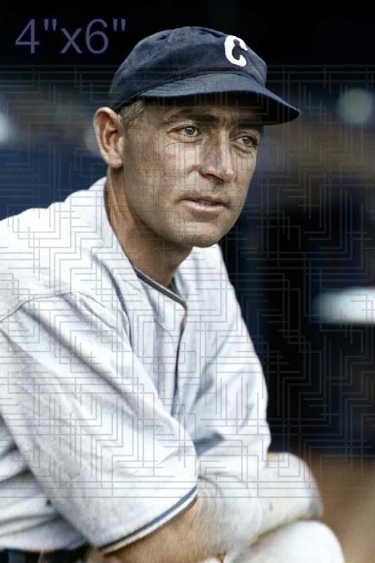 Hal Rhyne - 1933 Chicago White Sox - choose a size & style