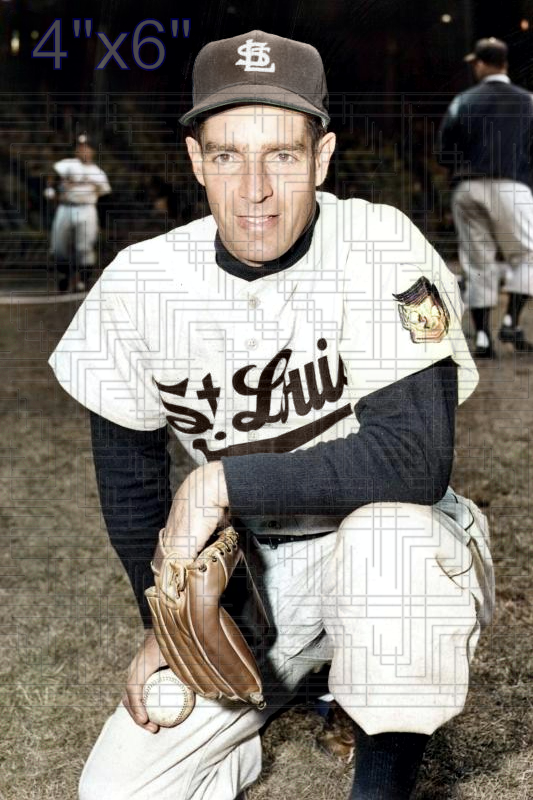Hal White - 1953 St. Louis Browns - choose a size & style