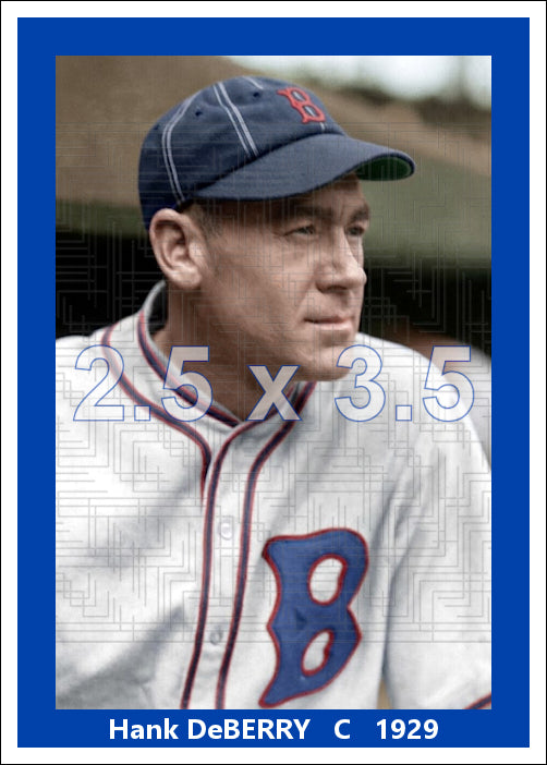 Hank DeBerry - 1929 Brooklyn Robins - choose a size & style