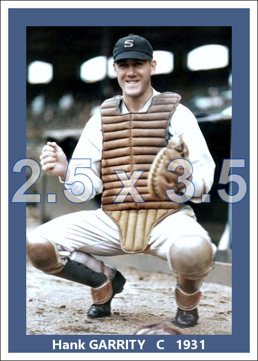Hank Garrity - 1931 Chicago White Sox - choose a size & style
