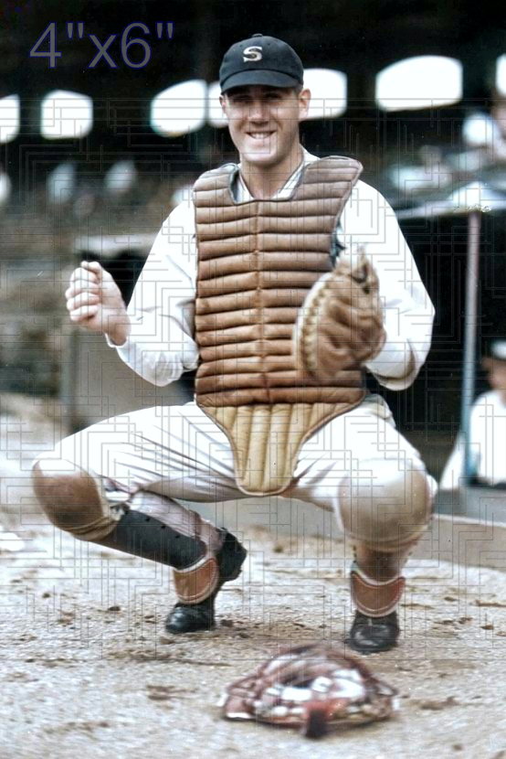 Hank Garrity - 1931 Chicago White Sox - choose a size & style