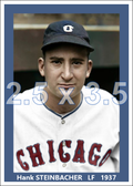 Hank Steinbacher - 1937 Chicago White Sox - choose a size & style