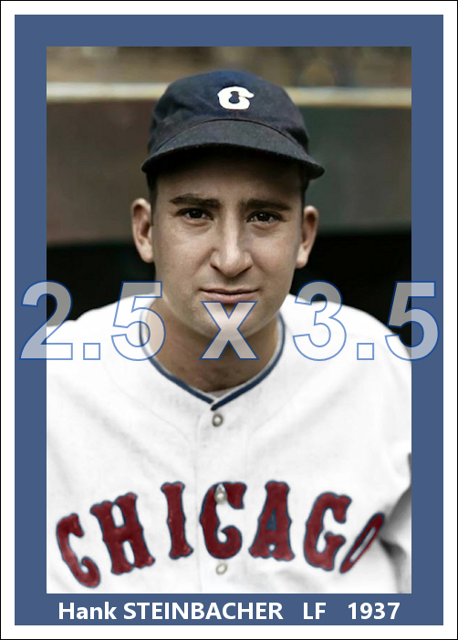 Hank Steinbacher - 1937 Chicago White Sox - choose a size & style