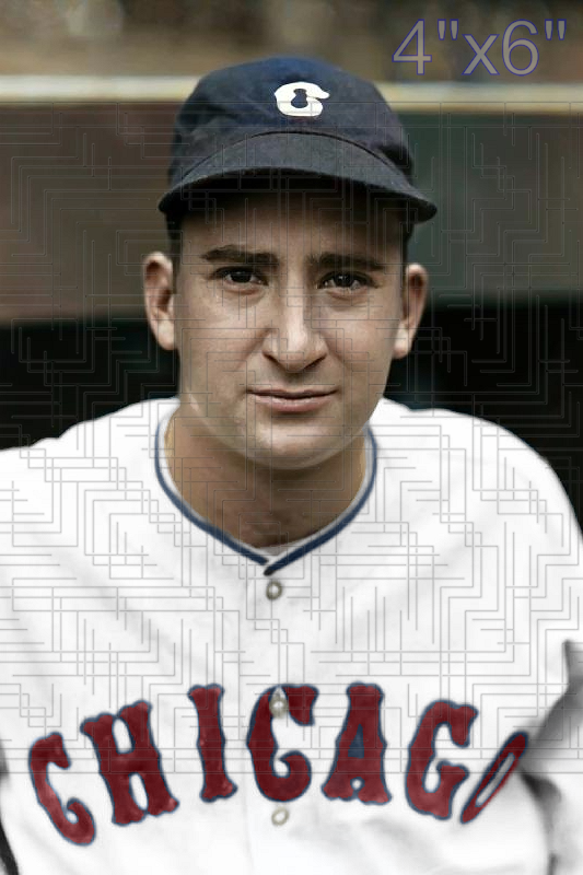 Hank Steinbacher - 1937 Chicago White Sox - choose a size & style