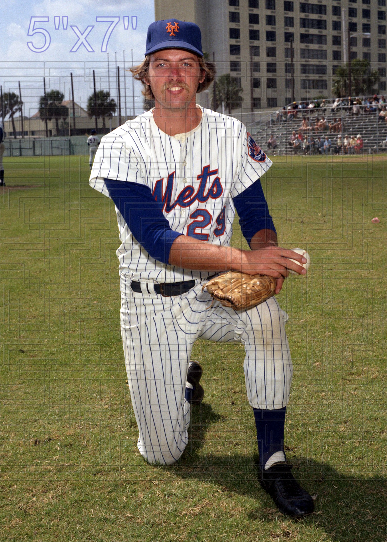 Hank Webb - 1975 New York Mets - choose a size & style