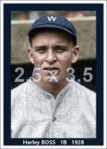 Harley Boss - 1928 Washington Senators - choose a size & style