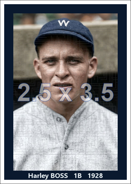 Harley Boss - 1928 Washington Senators - choose a size & style