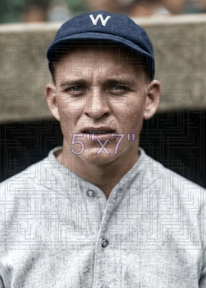 Harley Boss - 1928 Washington Senators - choose a size & style