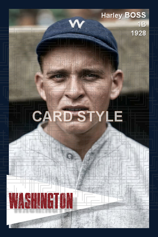 Harley Boss - 1928 Washington Senators - choose a size & style