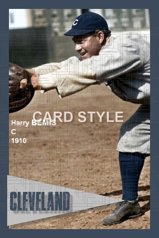 Harry Bemis - 1910 Cleveland Naps - choose a size & style
