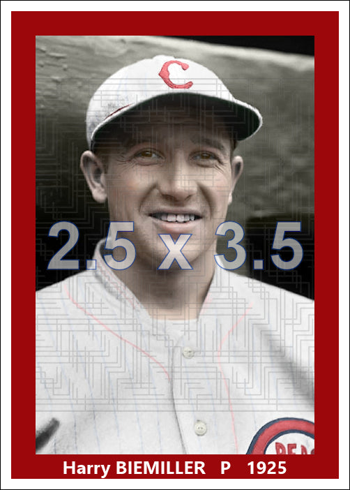 Harry Biemiller - 1925 Cincinnati Reds - choose a size & style