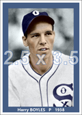 Harry Boyles - 1938 Chicago White Sox - choose a size & style